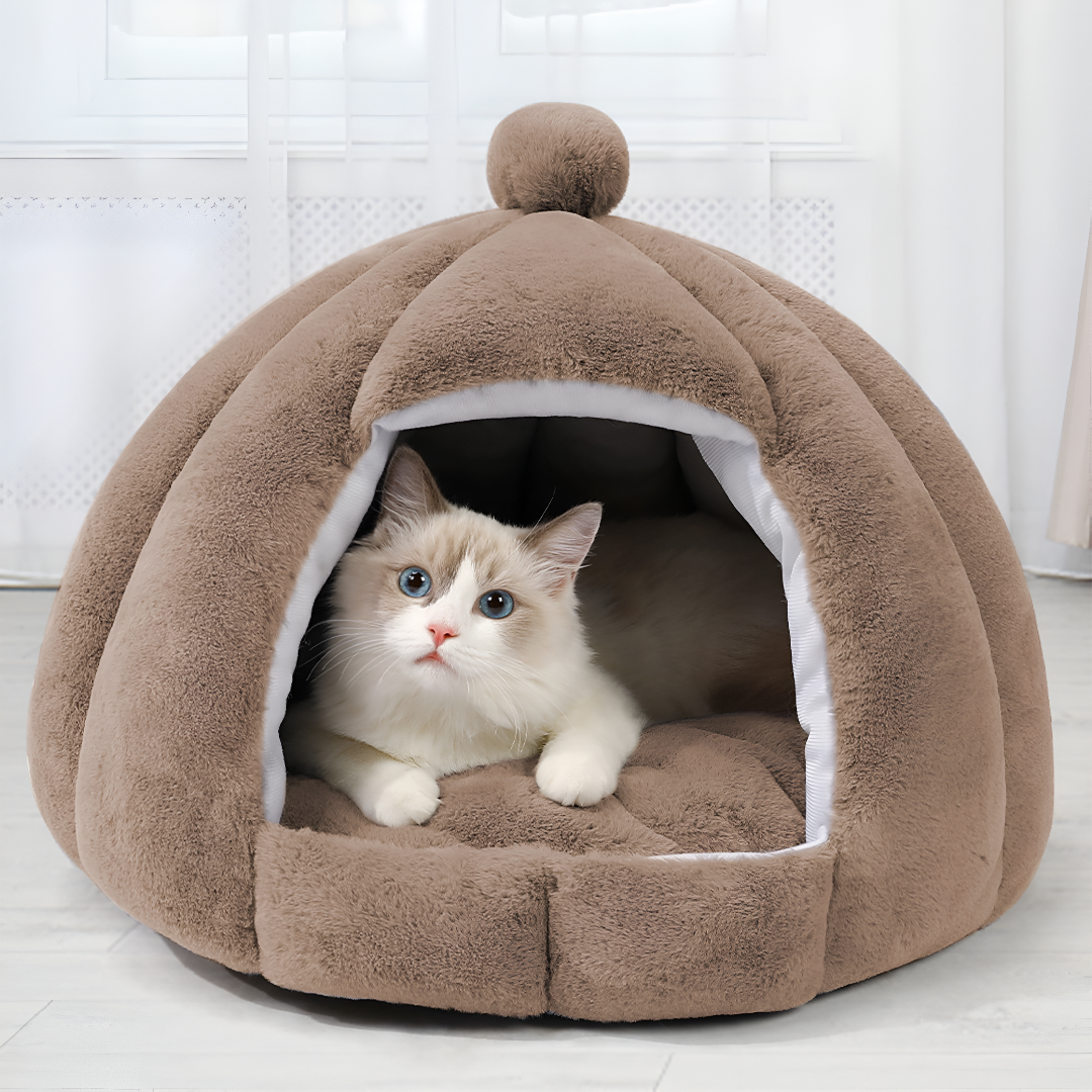 The Comfort Every Pet Deserves — Choosing the Right Bed